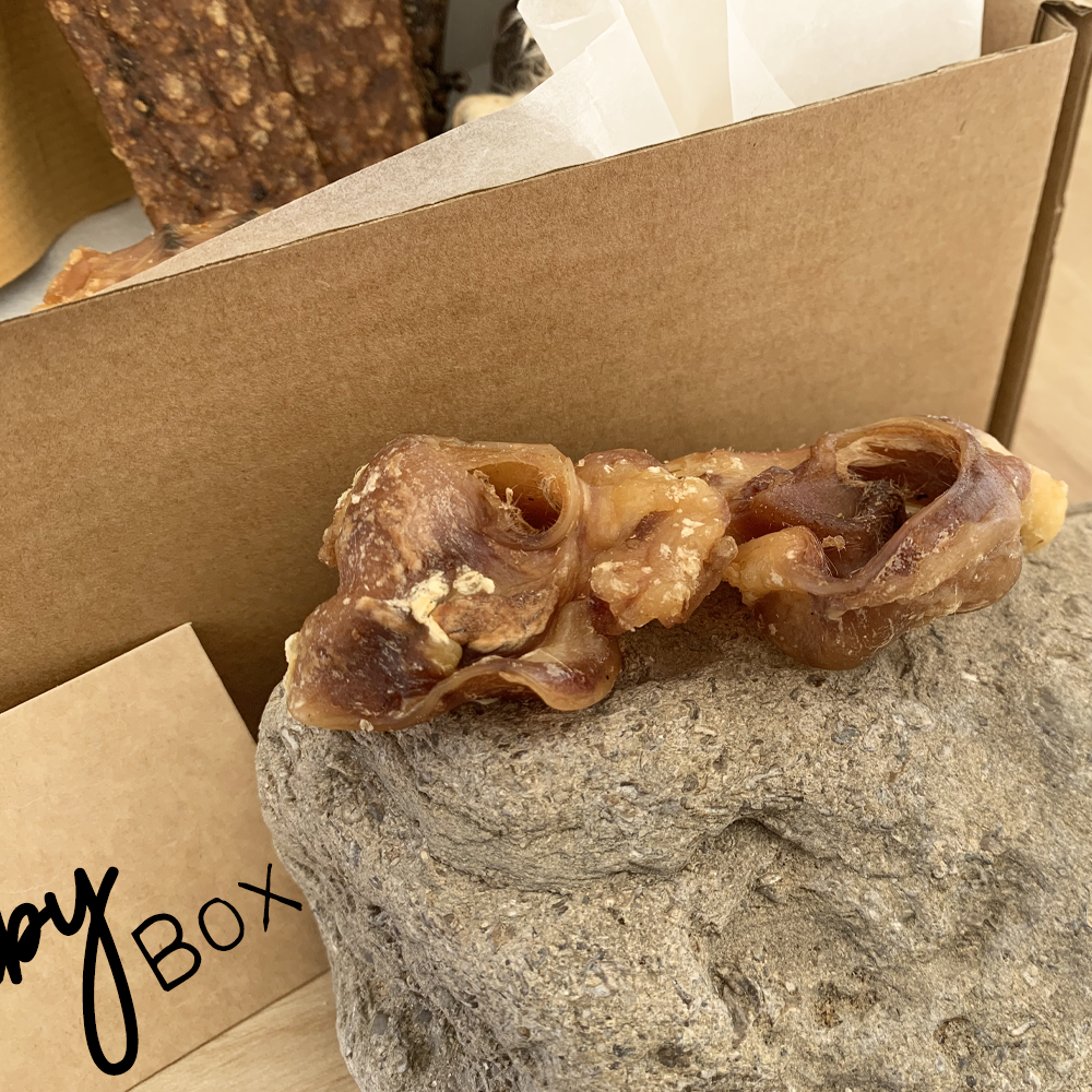 The Baby Box - Puppy Natural Chew Box