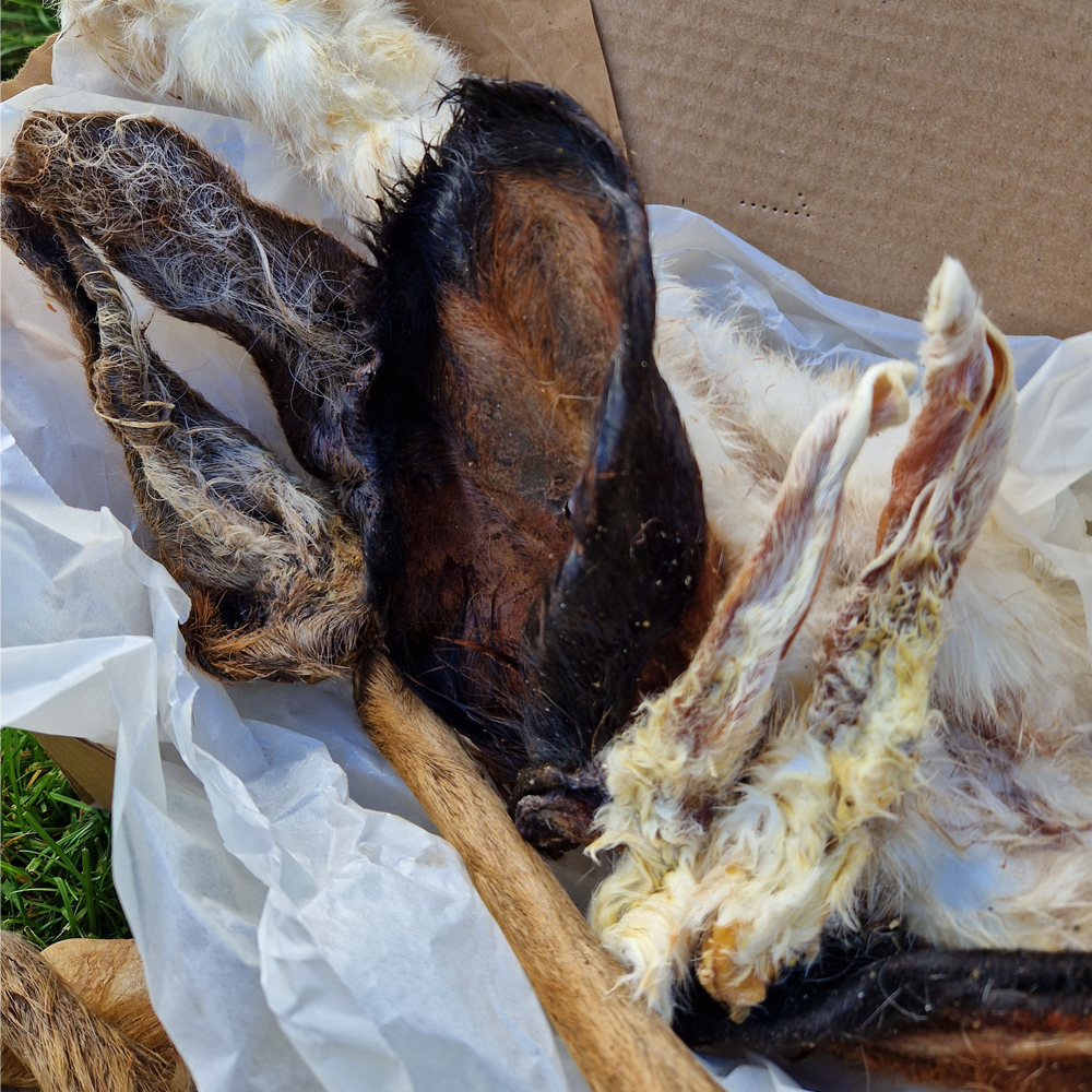 The Fur Box - Natural Enrichment Box