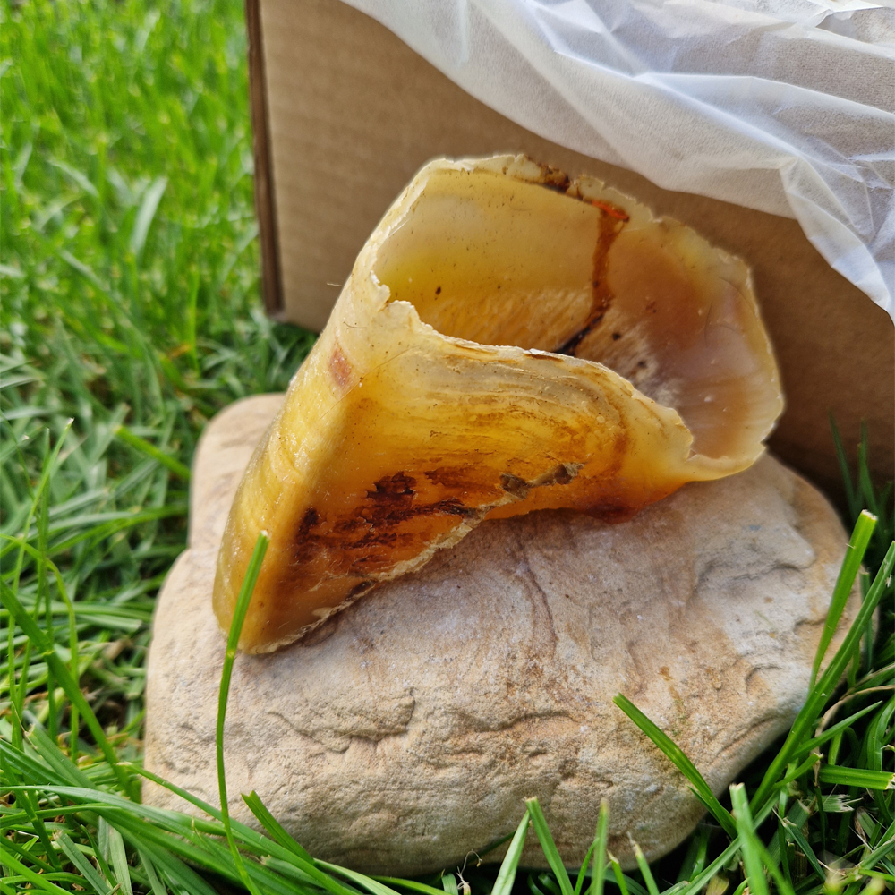The Low Fat Box