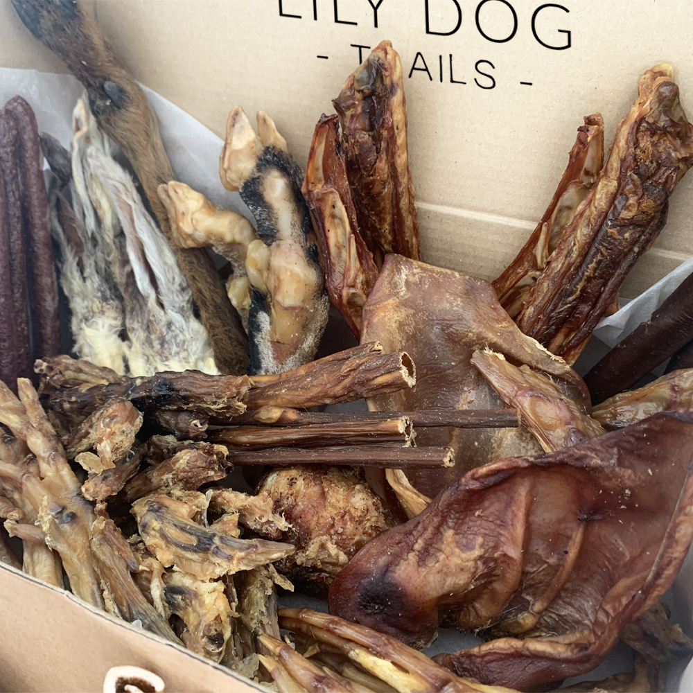 The Ultimate Woofer Box - Largest Natural Chew Box