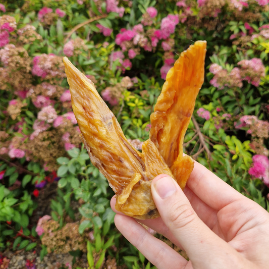 Turkey Wings
