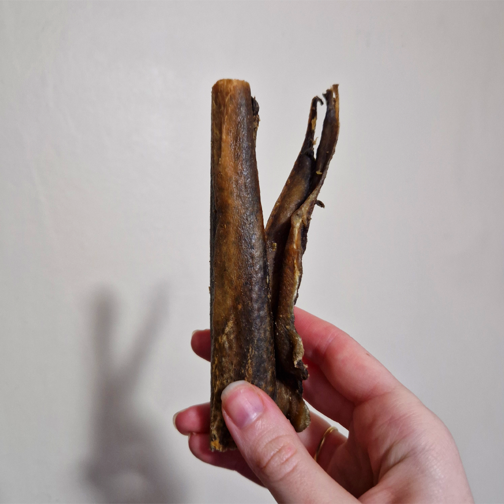 Wild Boar Skin