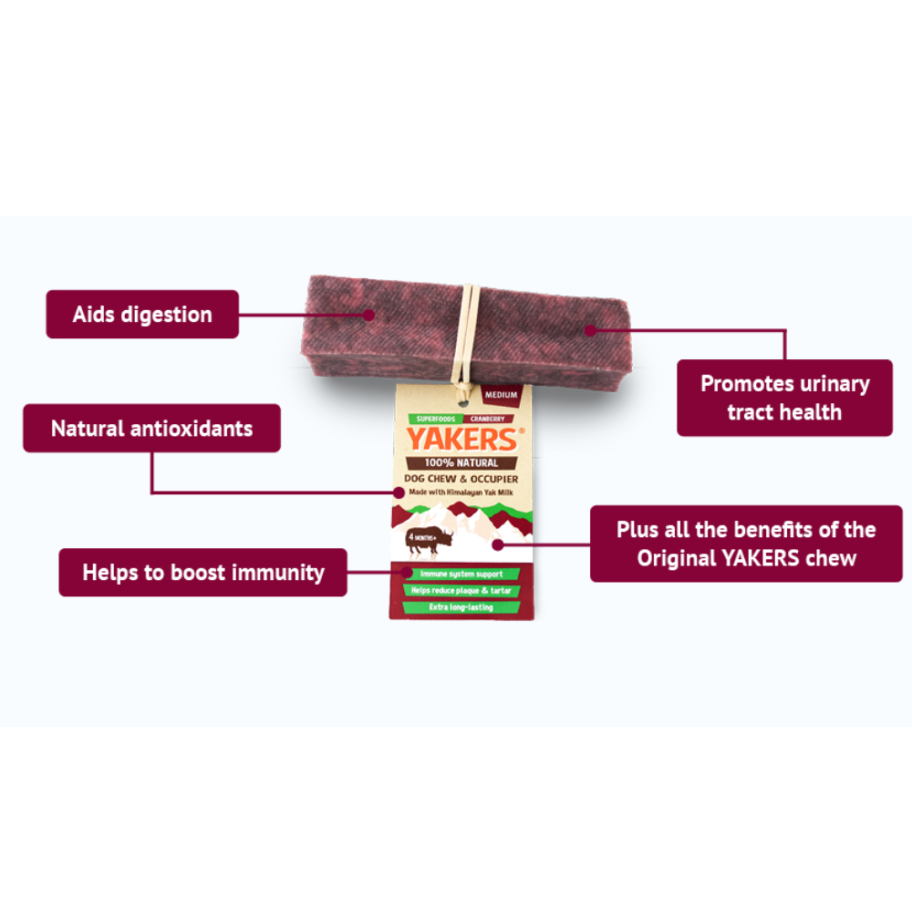 Superfood Cranberry Yak Chew