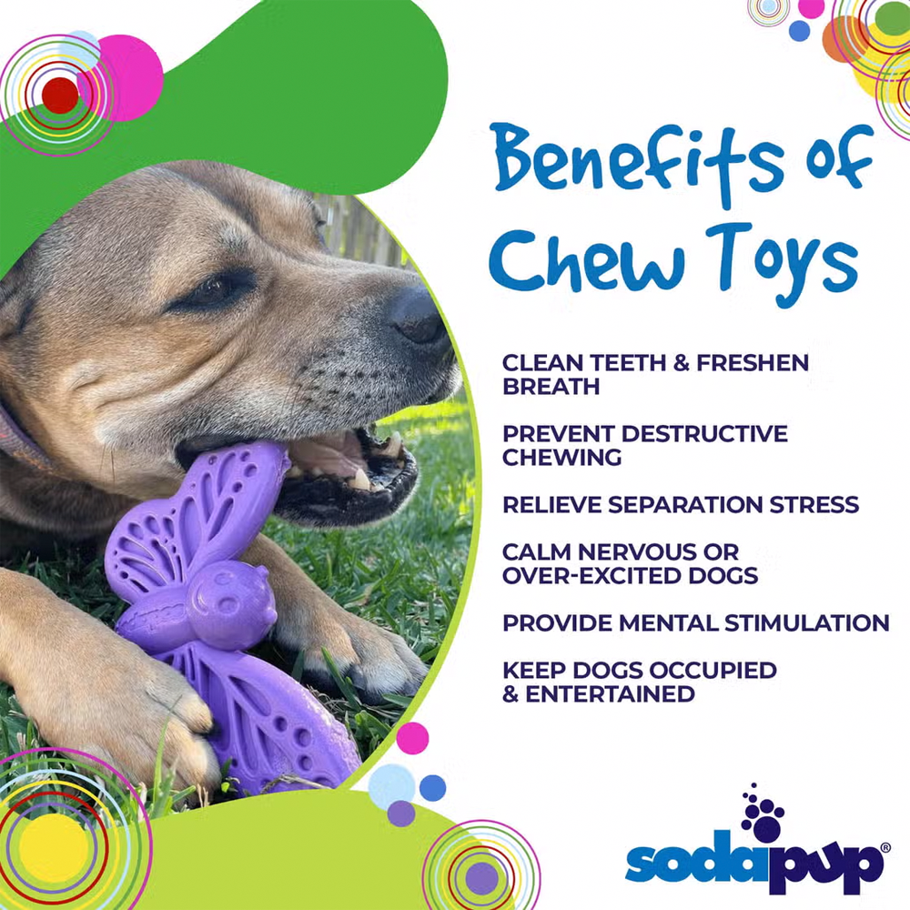 Butterfly Nylon Chew & Enrichment Toy - SodaPup