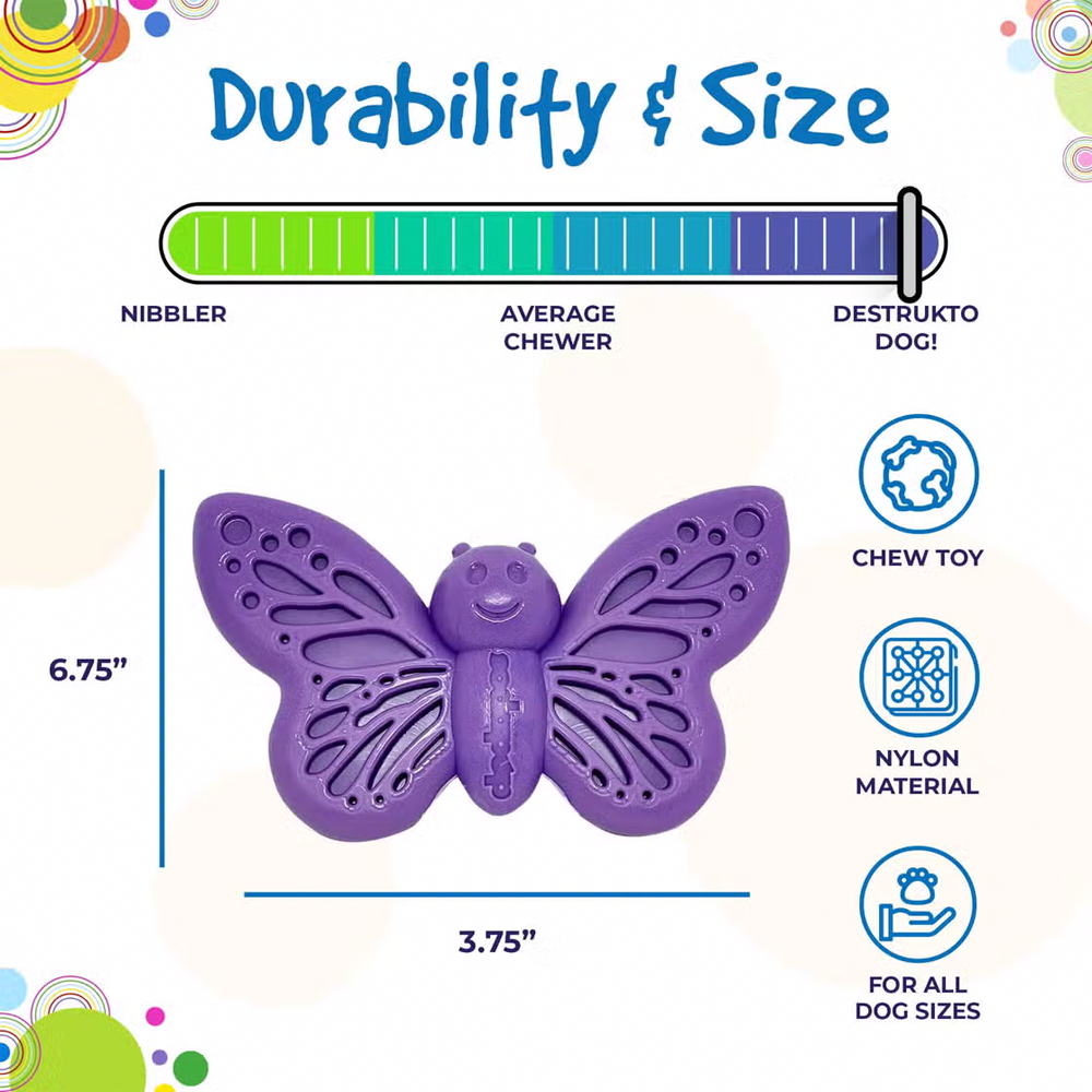 Butterfly Nylon Chew & Enrichment Toy - SodaPup