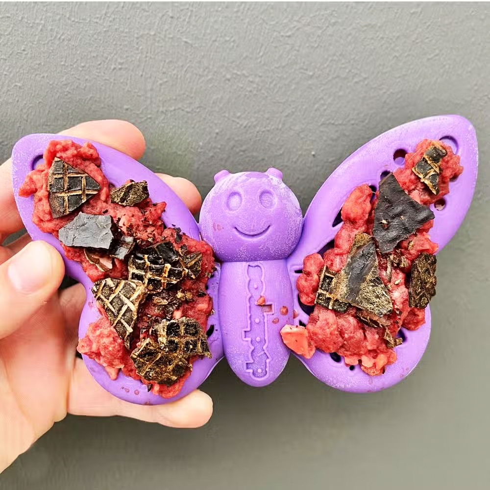 Butterfly Nylon Chew & Enrichment Toy - SodaPup