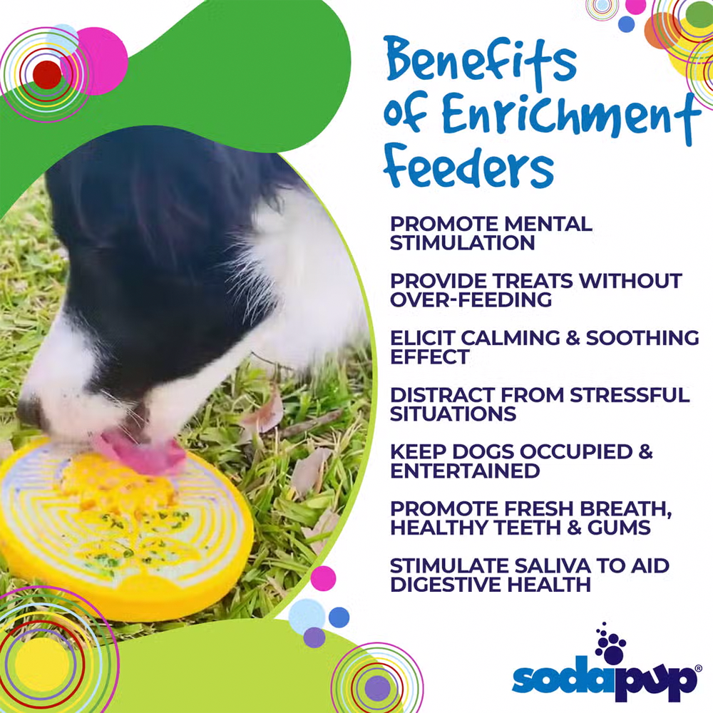 Earth Nylon eCoin Enrichment Snack Coin - SodaPup