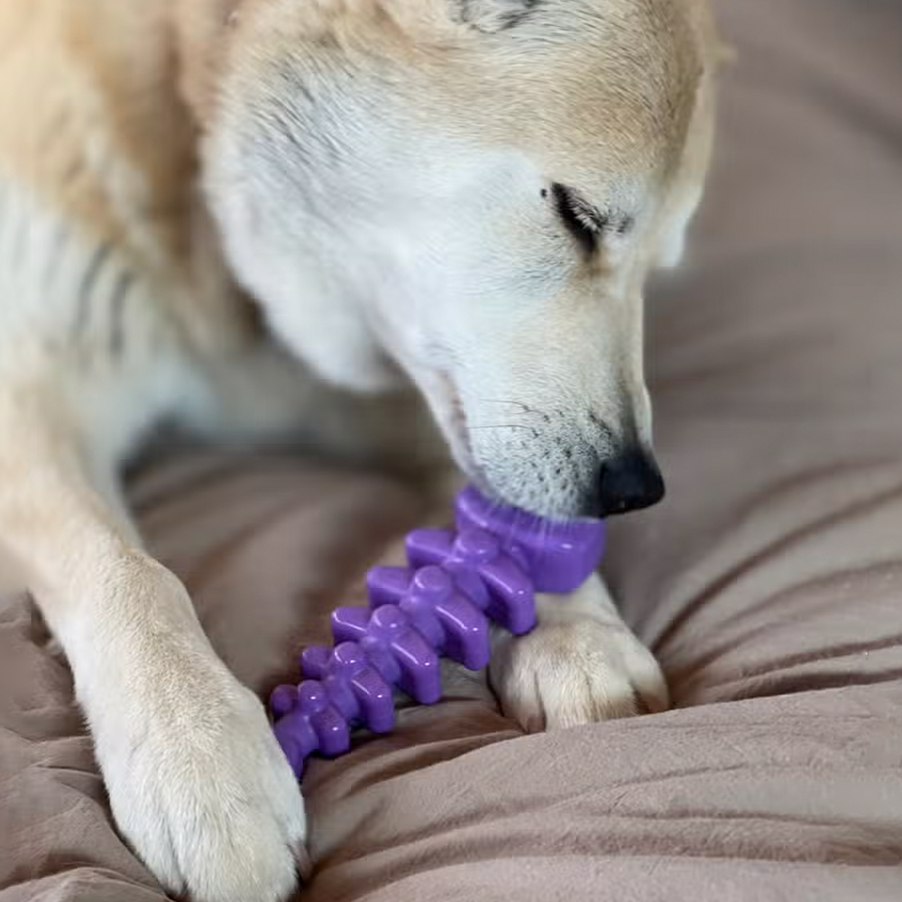 Fish Bone Ultra Durable Nylon Chew Toy - SodaPup