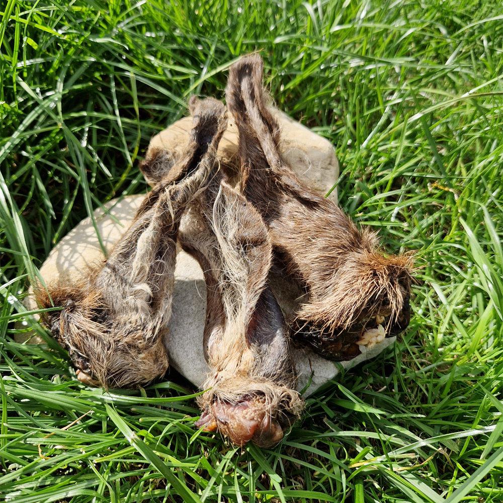 Hairy Venison Ears