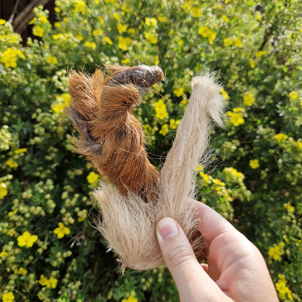 Hairy Venison Skins