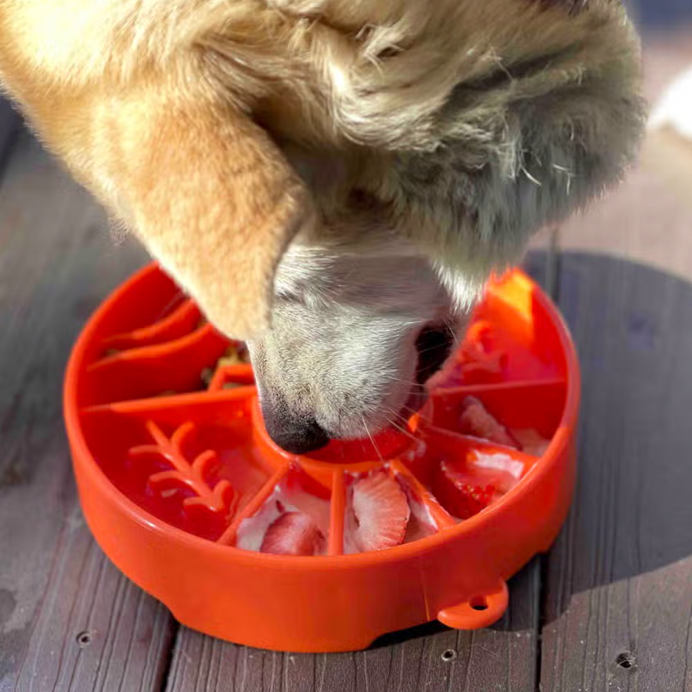 Great Outdoors eBowl Enrichment Slow Feeder Bowl - SodaPup