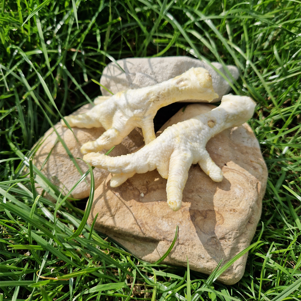 Puffed Chicken Feet