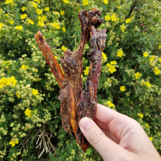 Venison Strips